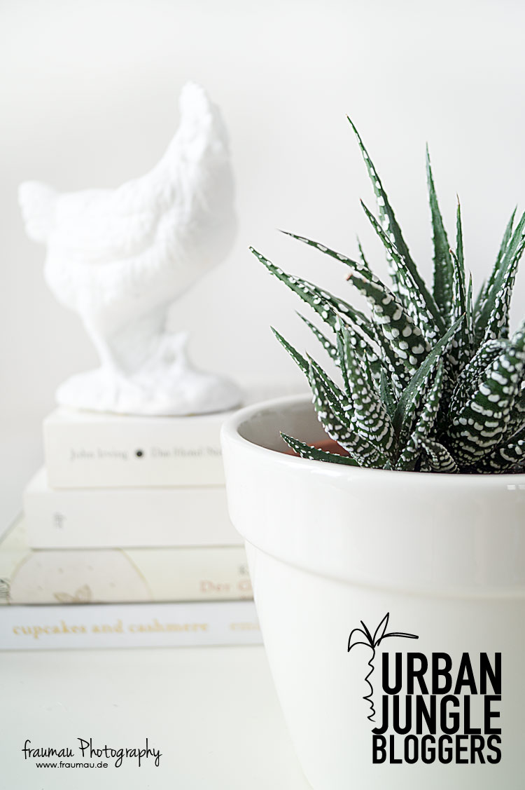 urbanjunglebloggers_1plant3styles_fraumau_beitrag4