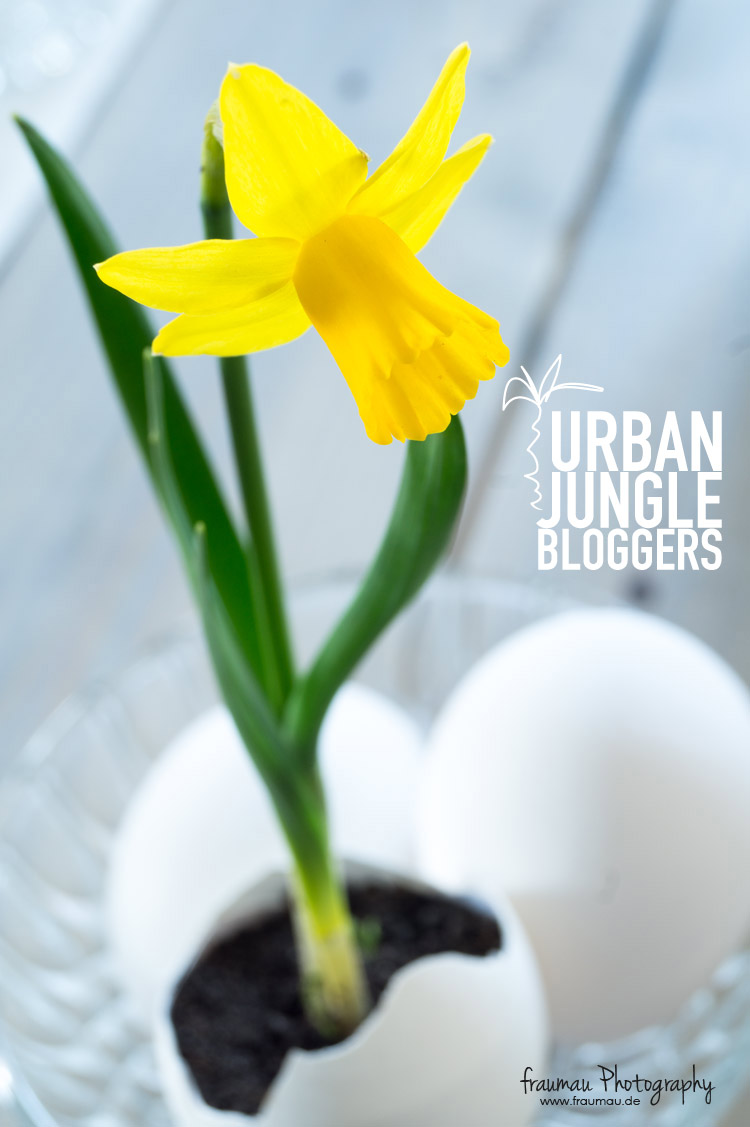 GreenSpring_UrbanJungleBloggers_fraumau_9