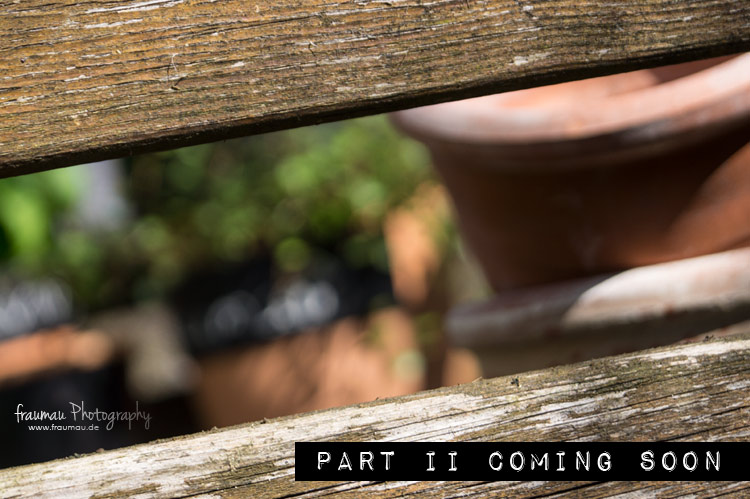 springbreak_part1_tags_fraumau_beitrag8