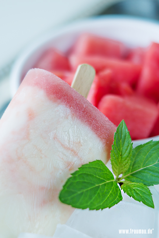 fraumau_watermelon_yoghurt_ice_diy_beitrag2