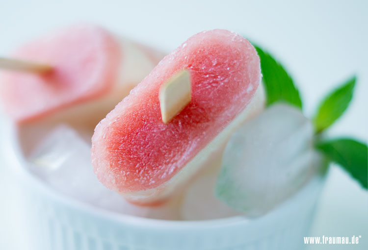 fraumau_watermelon_yoghurt_ice_diy_beitrag3