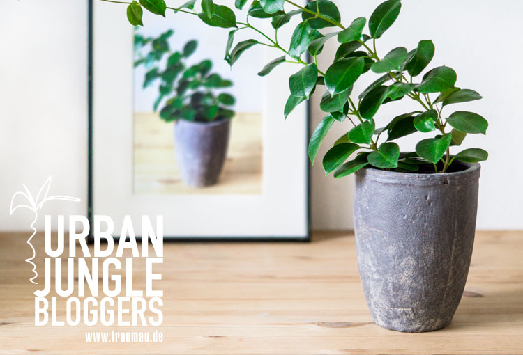 fraumau_Plantception_UrbanJungleBloggers_PlantsANDart_Beitrag1