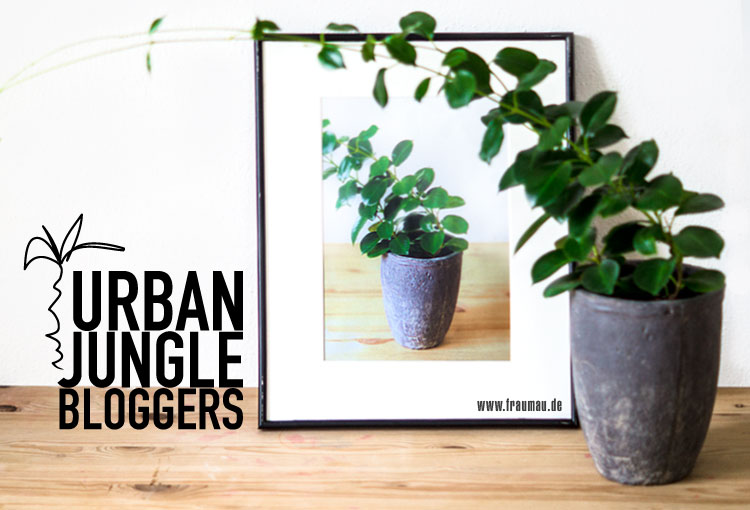 fraumau_Plantception_UrbanJungleBloggers_PlantsANDart_Beitrag3