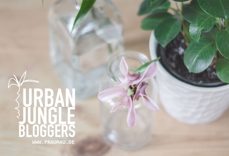 Urban Jungle Bloggers Plants &Flowers by fraumau